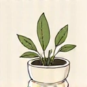 Herbal remedies icon